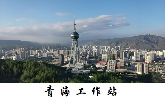 青海工作站